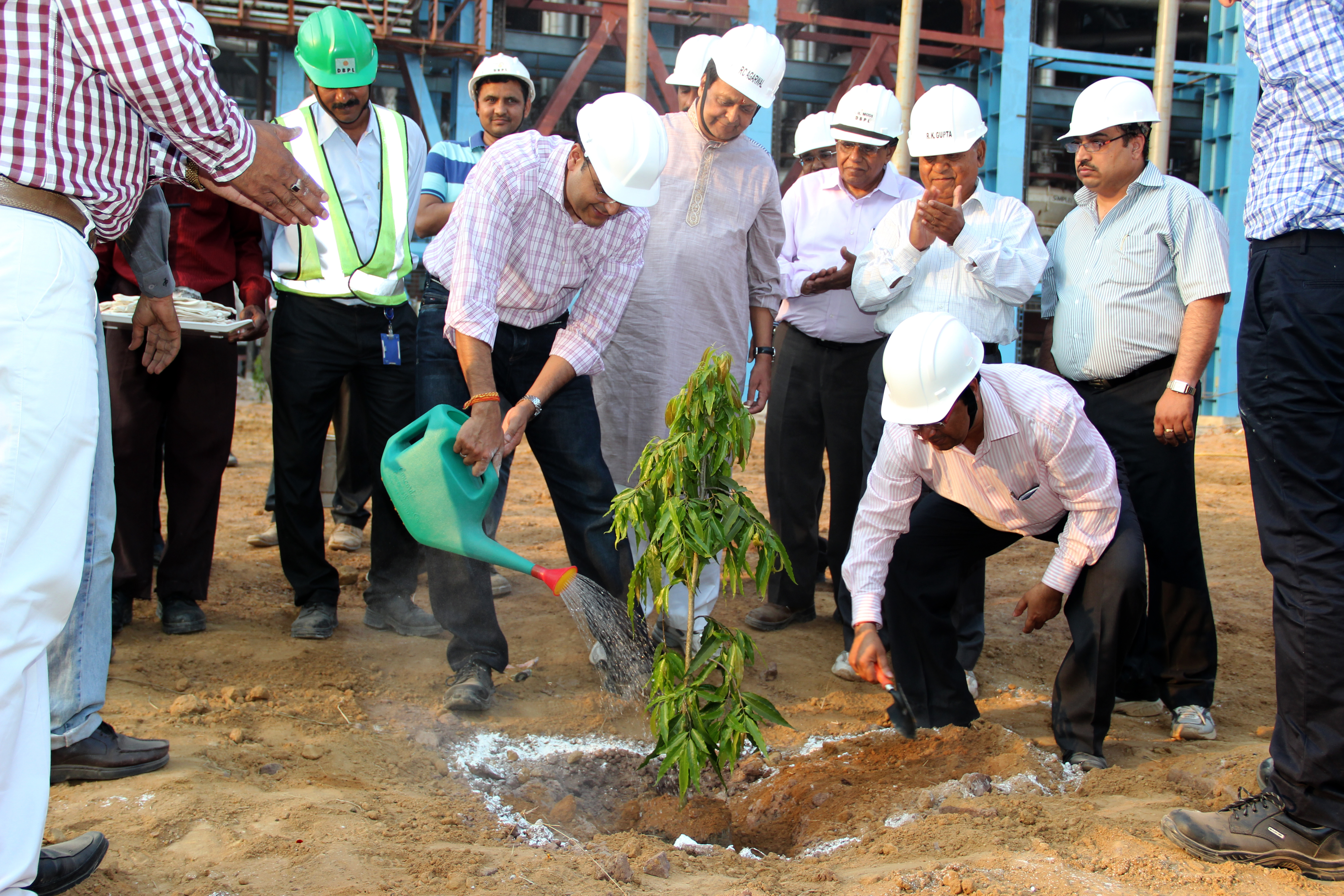 Plantation Drive 3